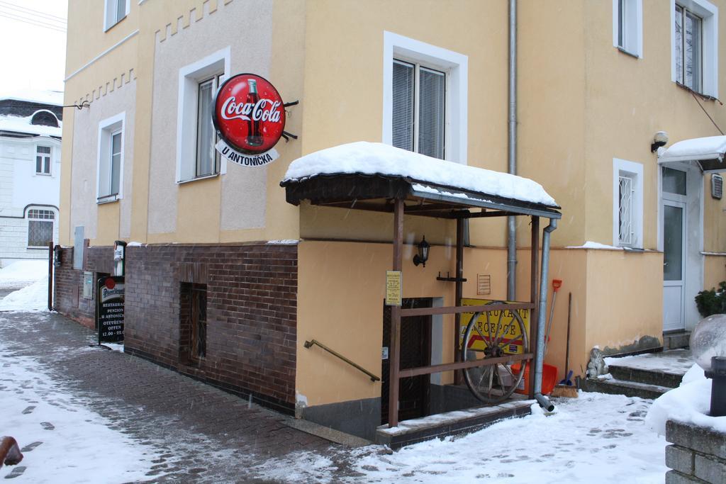 Penzion U Antonickova Pramene Mariánské Lázně Exteriér fotografie